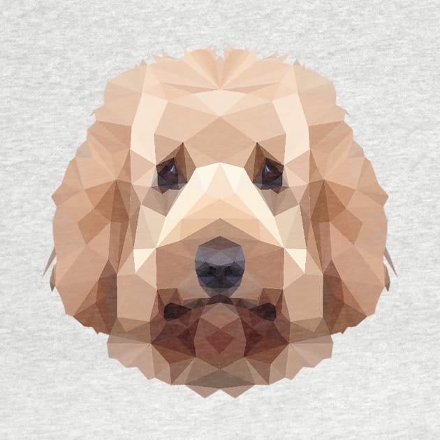 Goldendoodle by arlingjd